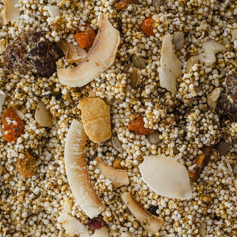 Amaranth Granola - 14 Superfoods + Frutas & Semillas