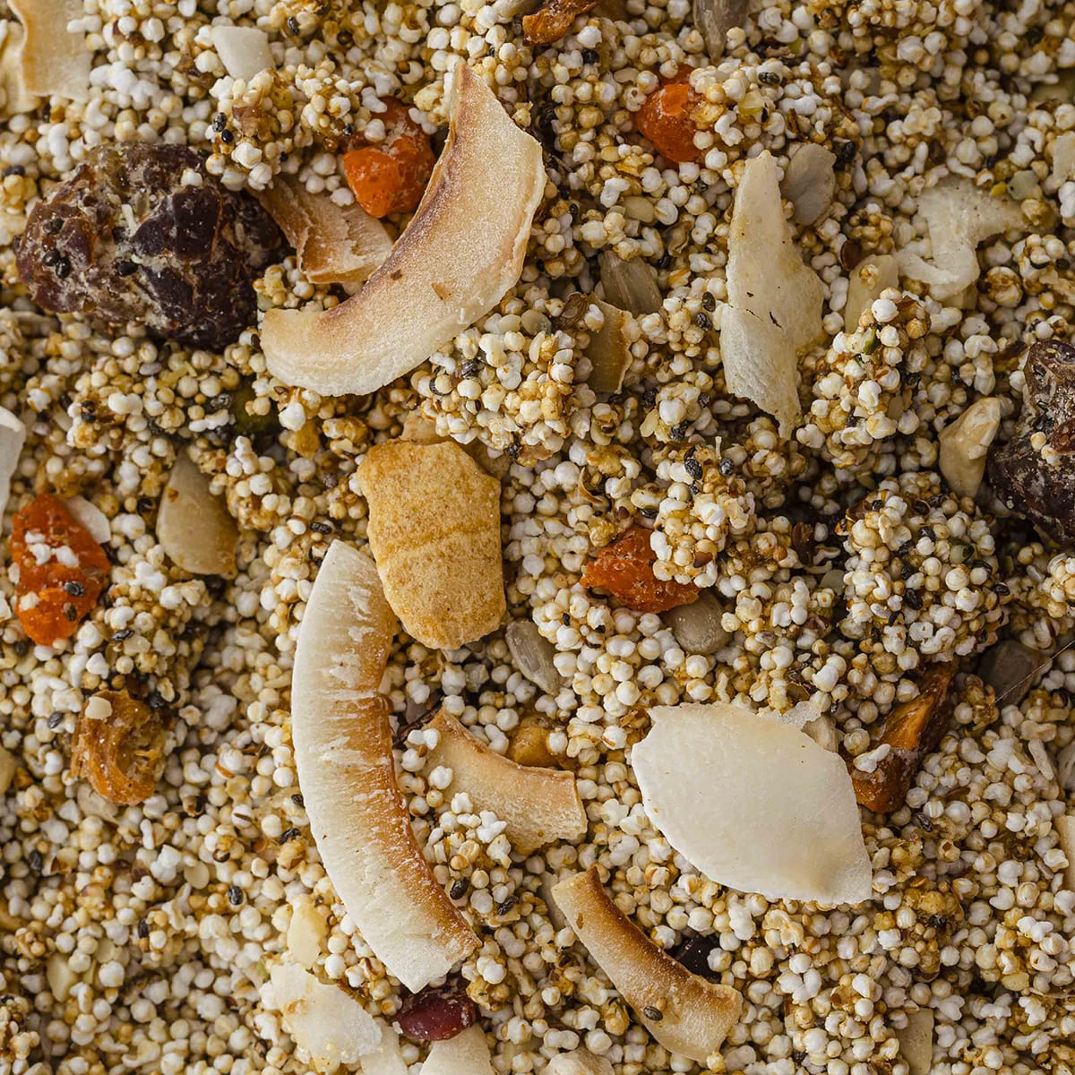 Amaranth Granola - 14 Superfoods +  Frutas & Semillas