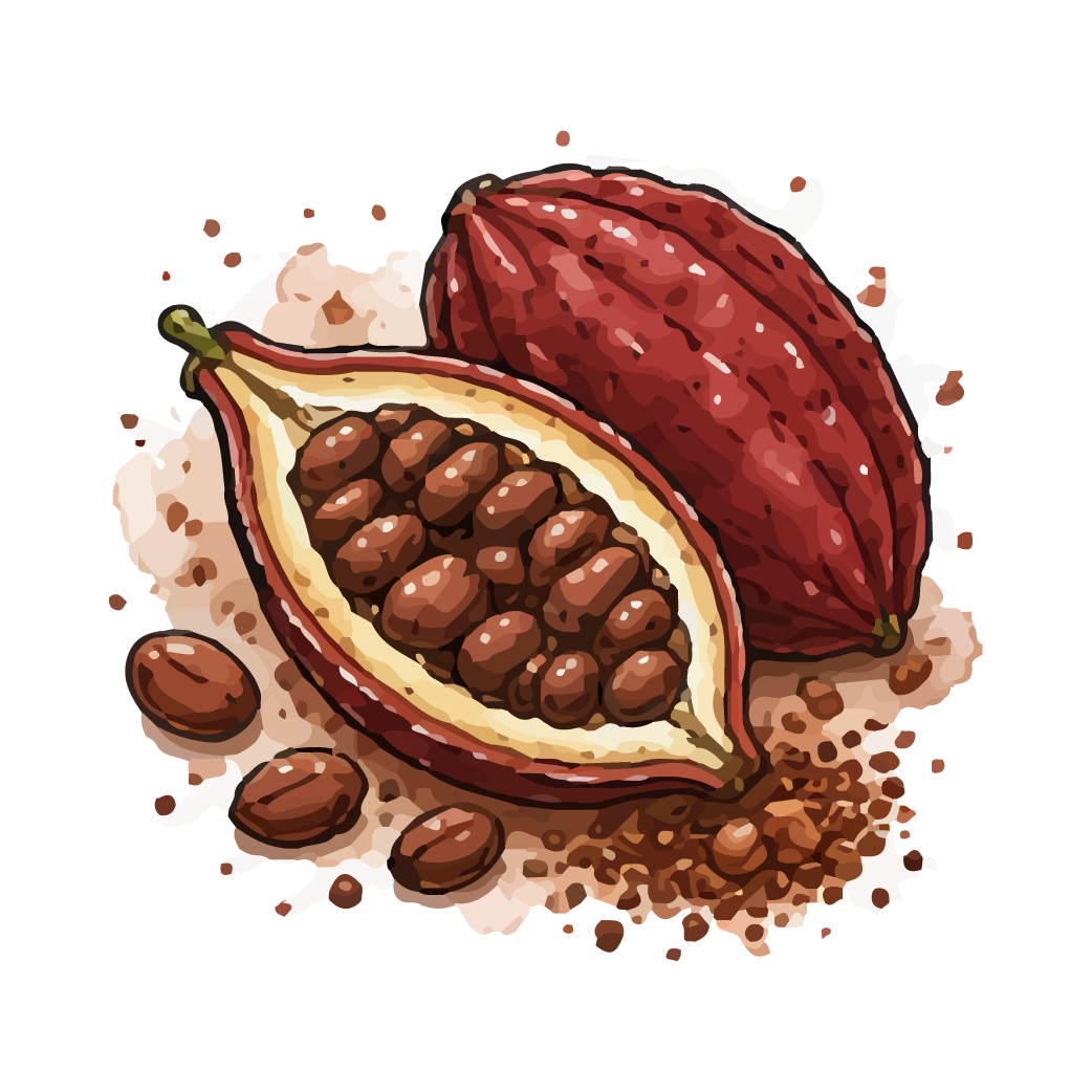 Cacao mexicano