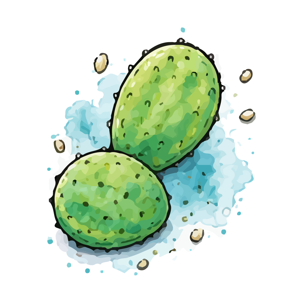 Nopal